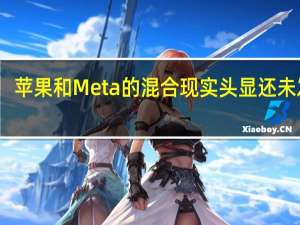 苹果和Meta的混合现实头显还未发售