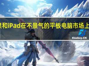 苹果和iPad在不景气的平板电脑市场上无所畏惧