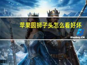 苹果园狮子头怎么看好坏（如何挑选苹果园狮子头）