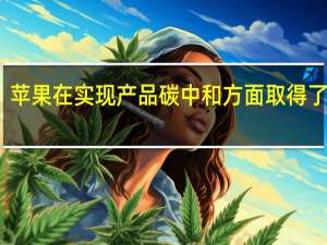 苹果在实现产品碳中和方面取得了进展