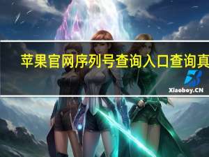 苹果官网序列号查询入口查询真伪（苹果官网序列号查询）