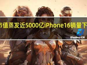 苹果市值蒸发近5000亿 iPhone 16销量下滑引发忧虑