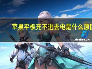 苹果平板充不进去电是什么原因（苹果手机充不进去电也开不了机）