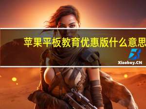 苹果平板教育优惠版什么意思