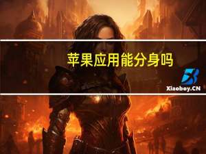 苹果应用能分身吗