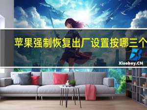 苹果强制恢复出厂设置按哪三个键