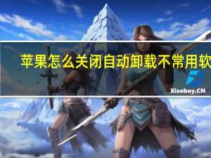 苹果怎么关闭自动卸载不常用软件（苹果手机怎么关闭自动卸载不常用软件）