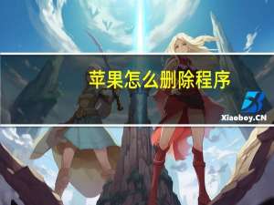 苹果怎么删除程序