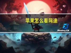苹果怎么看网速（怎么看网速）