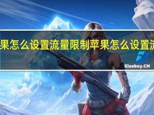苹果怎么设置流量限制 苹果怎么设置流量下载