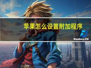 苹果怎么设置附加程序