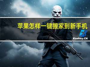 苹果怎样一键搬家到新手机