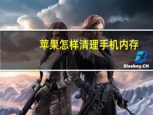 苹果怎样清理手机内存（苹果怎么清理手机内部存储空间）