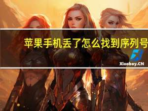 苹果手机丢了怎么找到序列号