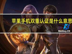 苹果手机双重认证是什么意思
