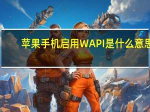苹果手机启用WAPI是什么意思