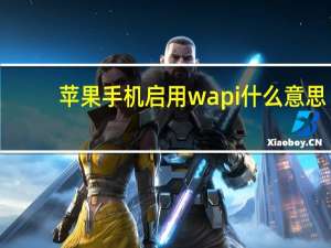 苹果手机启用wapi什么意思（wapi是什么意思）