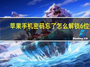 苹果手机密码忘了怎么解锁6位数（苹果手机密码忘了怎么解锁数字）