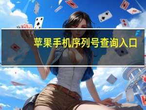 苹果手机序列号查询入口（苹果手机序列号查询）