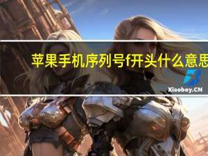 苹果手机序列号f开头什么意思