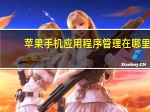 苹果手机应用程序管理在哪里