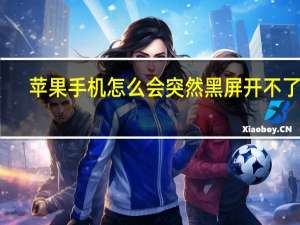 苹果手机怎么会突然黑屏开不了机（为什么苹果手机突然黑屏开不了机）