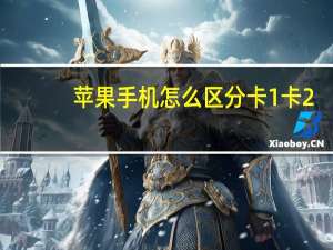 苹果手机怎么区分卡1卡2