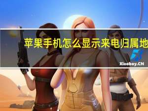 苹果手机怎么显示来电归属地
