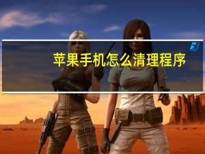 苹果手机怎么清理程序