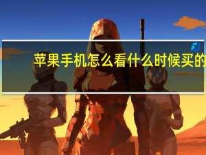 苹果手机怎么看什么时候买的