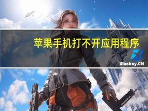 苹果手机打不开应用程序