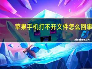 苹果手机打不开文件怎么回事（苹果手机打不开）