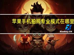 苹果手机拍照专业模式在哪里