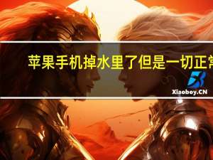 苹果手机掉水里了但是一切正常（苹果手机掉水里怎么处理）