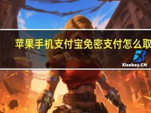 苹果手机支付宝免密支付怎么取消（支付宝免密支付怎么取消）