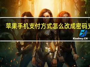 苹果手机支付方式怎么改成密码支付（苹果手机支付方式怎么设置）
