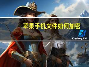 苹果手机文件如何加密（苹果手机文件加密(苹果手机文件加密怎么加密文件)）