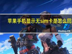 苹果手机显示无sim卡是怎么回事（苹果手机显示无sim卡）