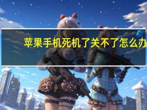 苹果手机死机了关不了怎么办