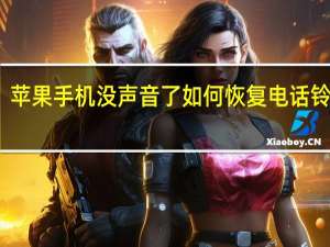 苹果手机没声音了如何恢复 电话铃声有（苹果手机没声音了如何恢复）