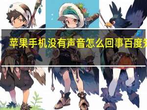 苹果手机没有声音怎么回事百度知道（苹果手机没有声音怎么回事）
