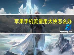 苹果手机流量用太快怎么办（苹果手机流量）