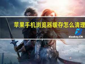 苹果手机浏览器缓存怎么清理