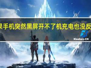 苹果手机突然黑屏开不了机充电也没反应怎么办（苹果手机突然黑屏开不了机充电也没反应）