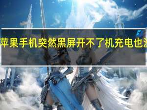 苹果手机突然黑屏开不了机充电也没反应