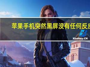 苹果手机突然黑屏没有任何反应（苹果手机突然黑屏什么反应都没有）