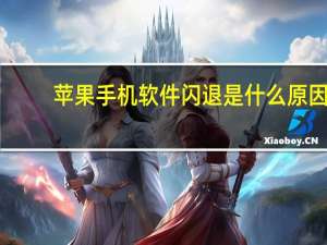 苹果手机软件闪退是什么原因（苹果手机软件闪退是什么原因）