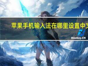 苹果手机输入法在哪里设置中文（苹果手机输入法在哪里设置）