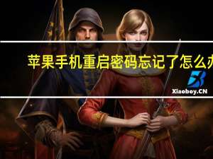 苹果手机重启密码忘记了怎么办（苹果手机密码忘记了怎么办 两种快速解开iPhone）