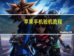 苹果手机验机流程（苹果手机验机）